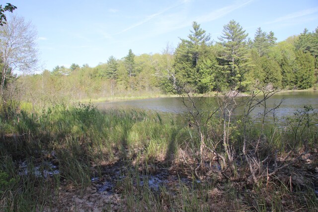 00 Knight Farm Rd, Kennebunk, ME 04043 - photo 55