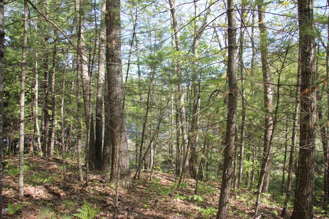 00 Knight Farm Rd, Kennebunk, ME 04043 - photo 57