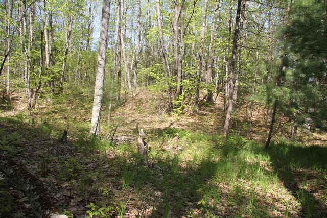 00 Knight Farm Rd, Kennebunk, ME 04043 - photo 58