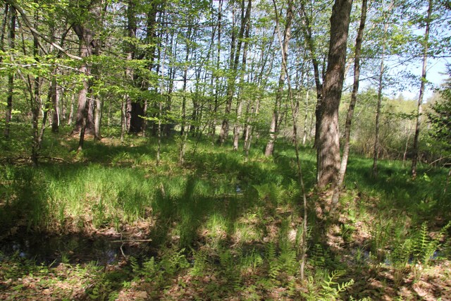 00 Knight Farm Rd, Kennebunk, ME 04043 - photo 63