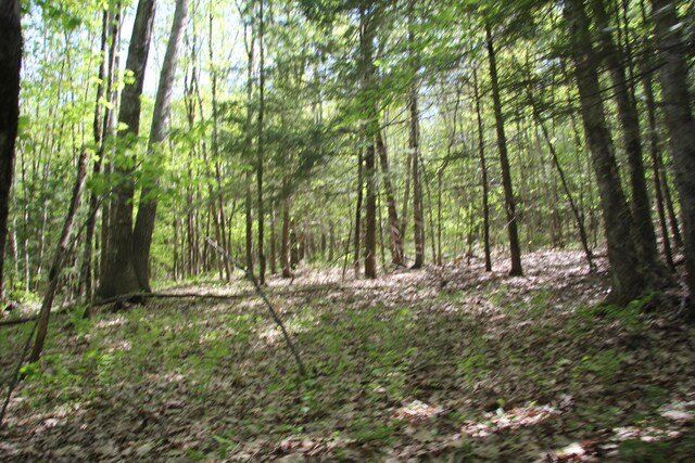 00 Knight Farm Rd, Kennebunk, ME 04043 - photo 3