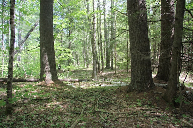 00 Knight Farm Rd, Kennebunk, ME 04043 - photo 10