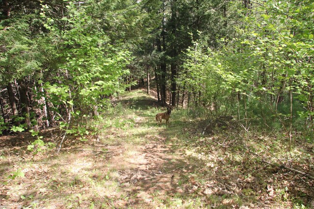 00 Knight Farm Rd, Kennebunk, ME 04043 - photo 1