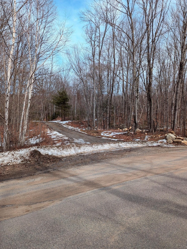 LOT62-5 Glades View Ave, Newry, ME 04261 - photo 3