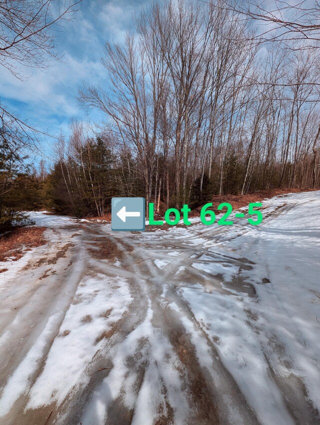 LOT62-5 Glades View Ave, Newry, ME 04261 - photo 4