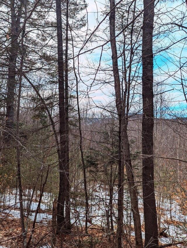 LOT62-5 Glades View Ave, Newry, ME 04261 - photo 5