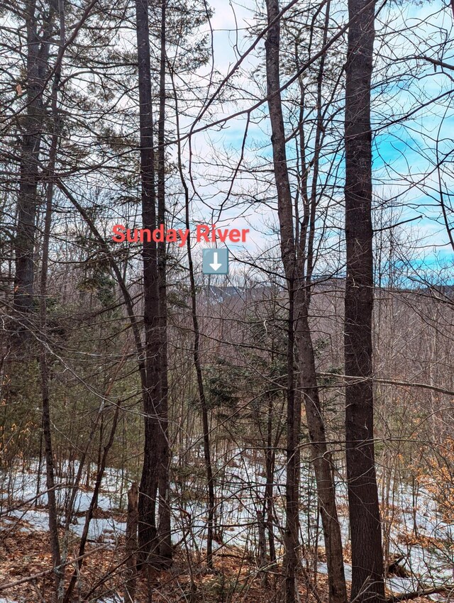 LOT62-5 Glades View Ave, Newry, ME 04261 - photo 7