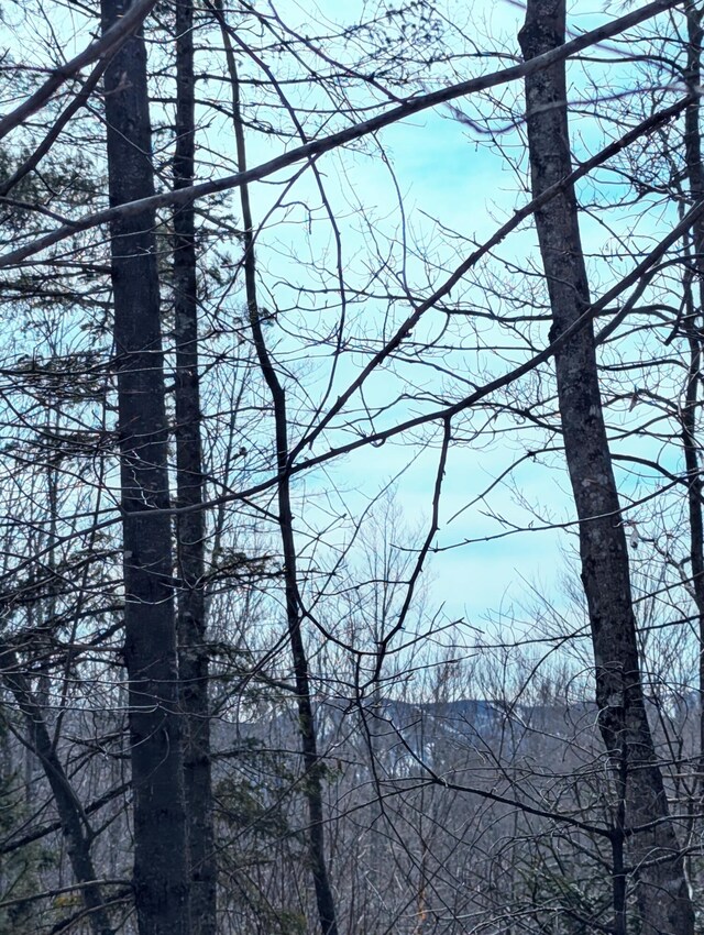 LOT62-5 Glades View Ave, Newry, ME 04261 - photo 8