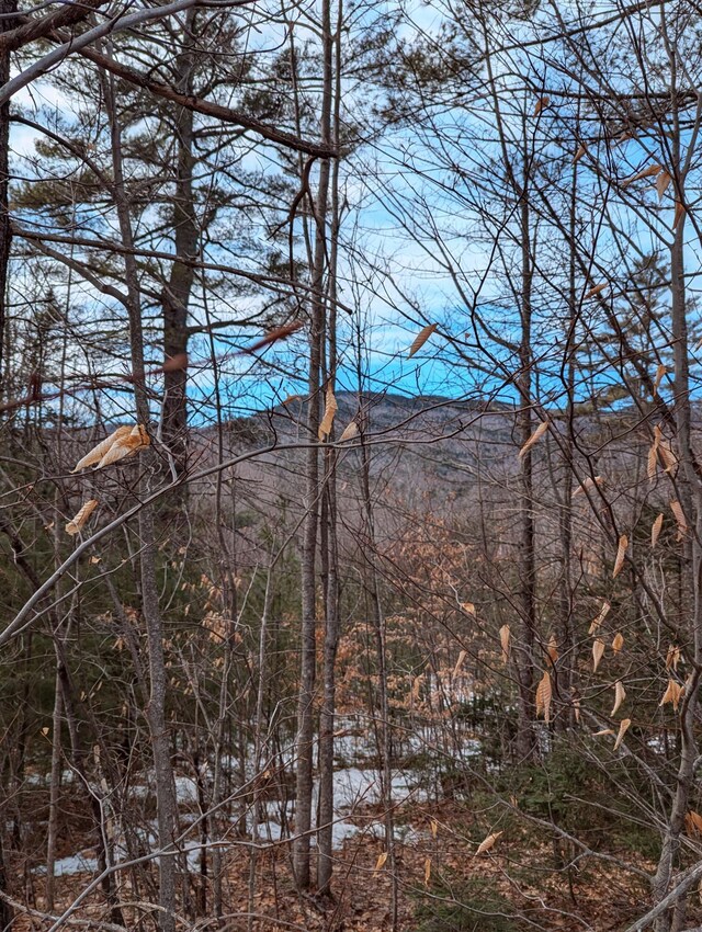 LOT62-5 Glades View Ave, Newry, ME 04261 - photo 2