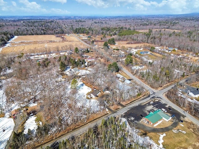 bird's eye view