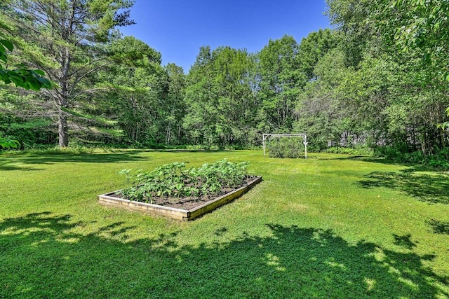 view of yard featuring a garden