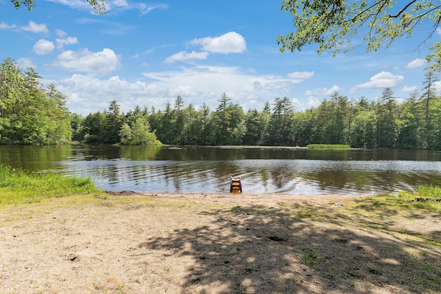 0 Clearview Ln, Limerick, ME 04048 - water view featuring a forest