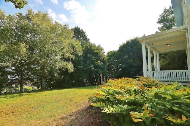 view of yard featuring a porch