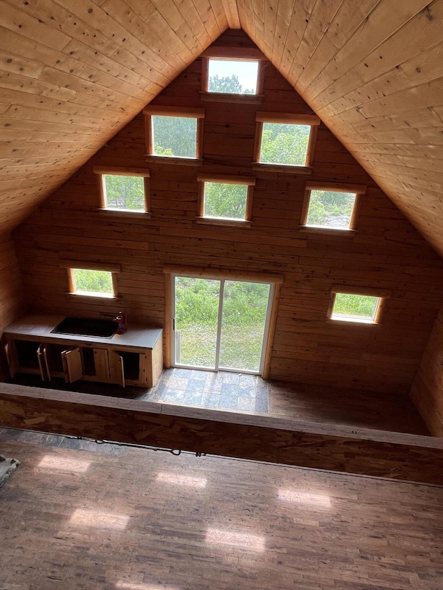interior space featuring plenty of natural light, wood walls, wooden ceiling, and wood finished floors