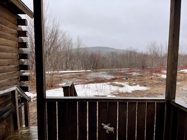 view of yard covered in snow