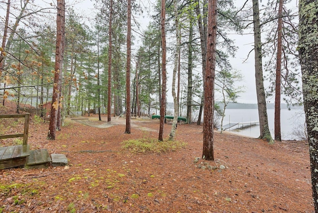 view of yard with a water view