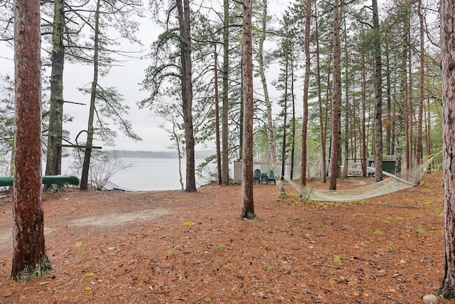 view of yard featuring a water view