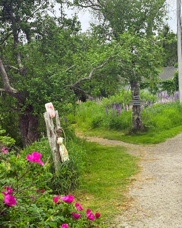260 Clark Island Rd, Saint George, ME 04859 - photo 47