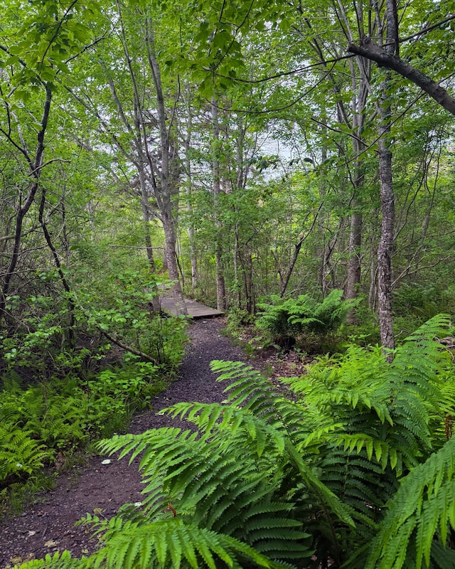 260 Clark Island Rd, Saint George, ME 04859 - photo 49