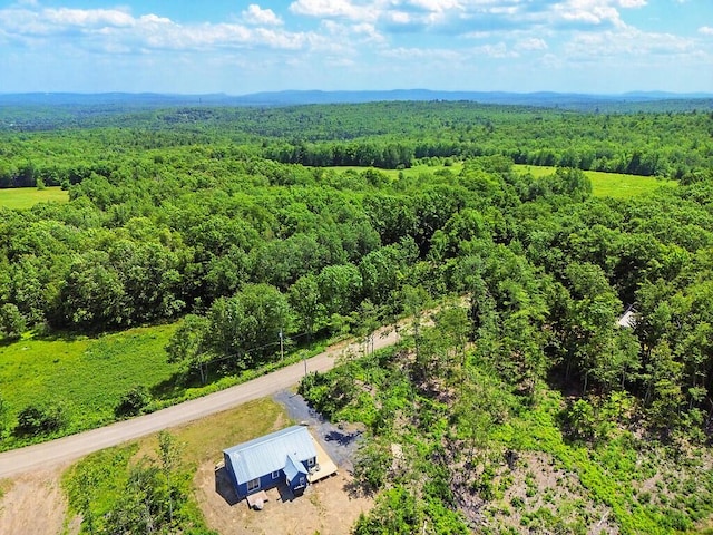 55 Emery Rd, Starks, ME 04911 - drone / aerial view of a forest