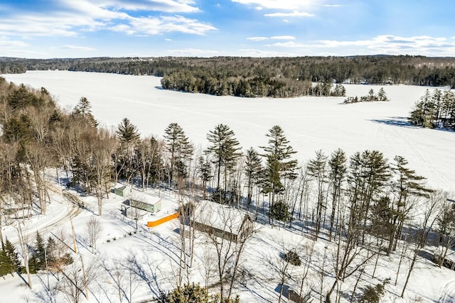 snowy aerial view featuring a view of trees