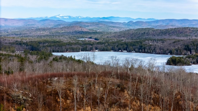 TBD N Rd, Parsonsfield, ME 04047