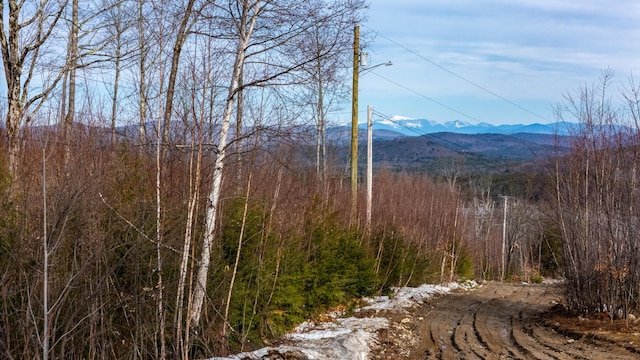 TBD N Rd, Parsonsfield, ME 04047