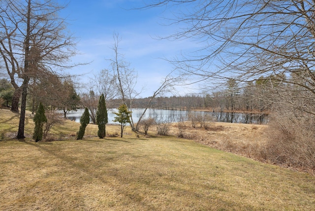 view of yard featuring a water view