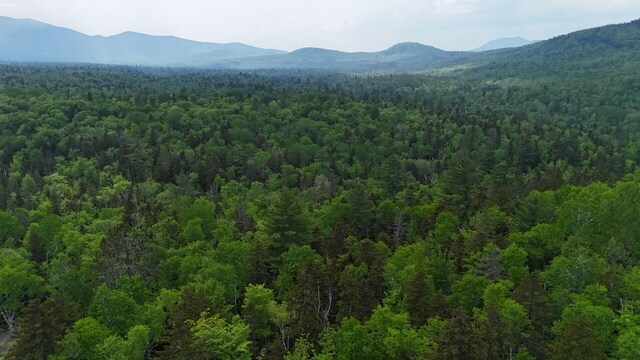 2007 W St, Carrabassett Valley, ME 04947 - photo 2