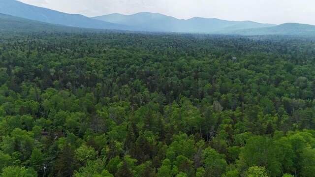 2007 W St, Carrabassett Valley, ME 04947 - photo 4