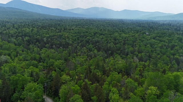 2007 W St, Carrabassett Valley, ME 04947 - photo 5