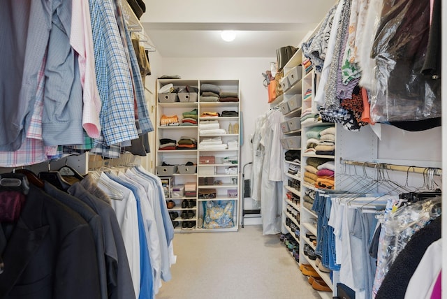 spacious closet with carpet floors