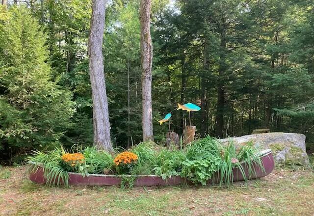52 Main Rd, Chesterville, ME 04938 - view of yard with a forest view