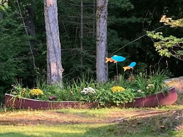 52 Main Rd, Chesterville, ME 04938 - view of yard