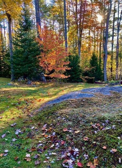 52 Main Rd, Chesterville, ME 04938 - view of yard