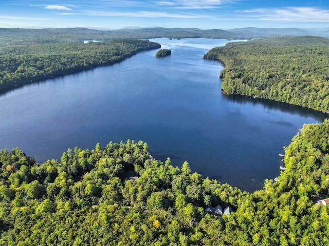 52 Main Rd, Chesterville, ME 04938 - drone / aerial view of a heavily wooded area and a nearby body of water
