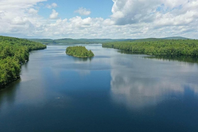 52 Main Rd, Chesterville, ME 04938 - water view with a forest
