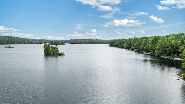 52 Main Rd, Chesterville, ME 04938 - water view featuring a forest