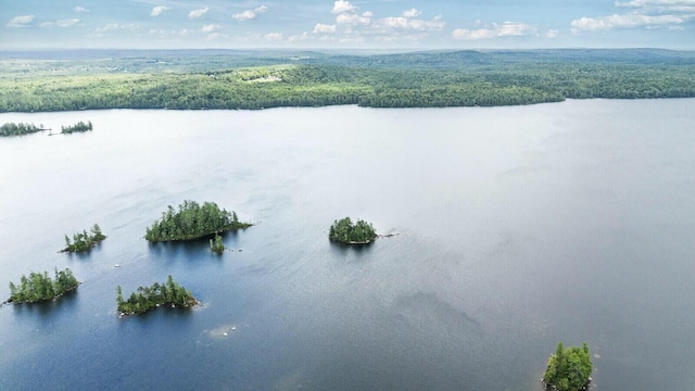 52 Main Rd, Chesterville, ME 04938 - water view with a heavily wooded area