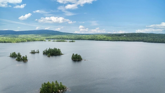 52 Main Rd, Chesterville, ME 04938 - water view featuring a heavily wooded area and a mountainous background