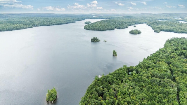52 Main Rd, Chesterville, ME 04938 - aerial view of a heavily wooded area and a nearby body of water