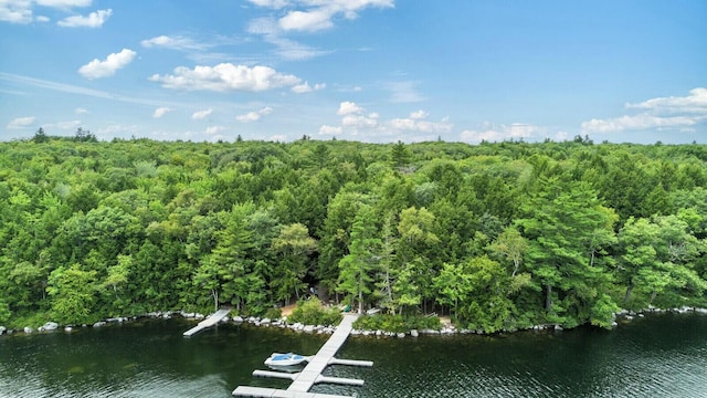 52 Main Rd, Chesterville, ME 04938 - aerial view of property's location featuring a forest
