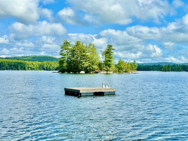 52 Main Rd, Chesterville, ME 04938 - dock with a water view and a wooded view