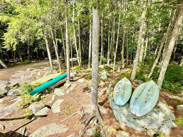 52 Main Rd, Chesterville, ME 04938 - view of undeveloped land