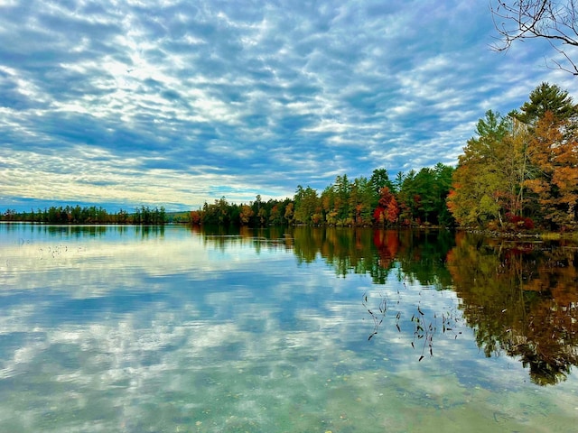 52 Main Rd, Chesterville, ME 04938 - water view with a heavily wooded area