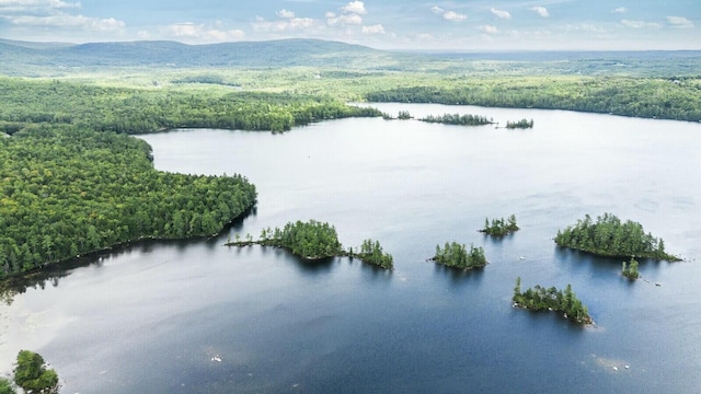 52 Main Rd, Chesterville, ME 04938 - aerial view of a forest and a water and mountain view
