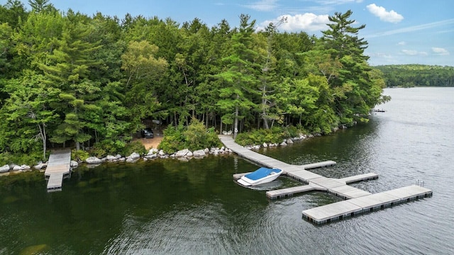52 Main Rd, Chesterville, ME 04938 - dock with a water view and a view of trees