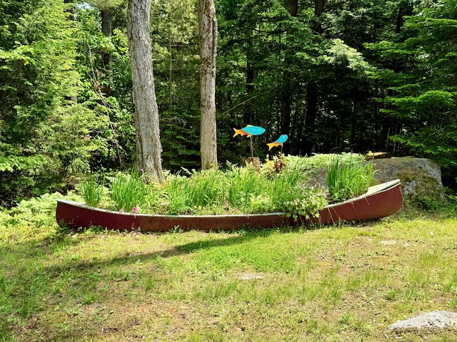 52 Main Rd, Chesterville, ME 04938 - view of yard
