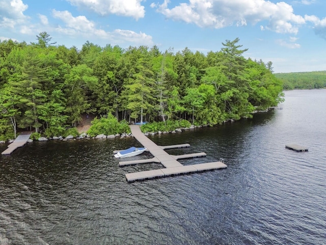 52 Main Rd, Chesterville, ME 04938 - dock area with a water view and a wooded view