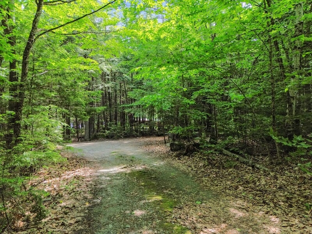 52 Main Rd, Chesterville, ME 04938 - view of dirt / gravel road featuring a wooded view